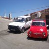Pioppo 2008 (66)